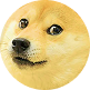 Dogecoin icon